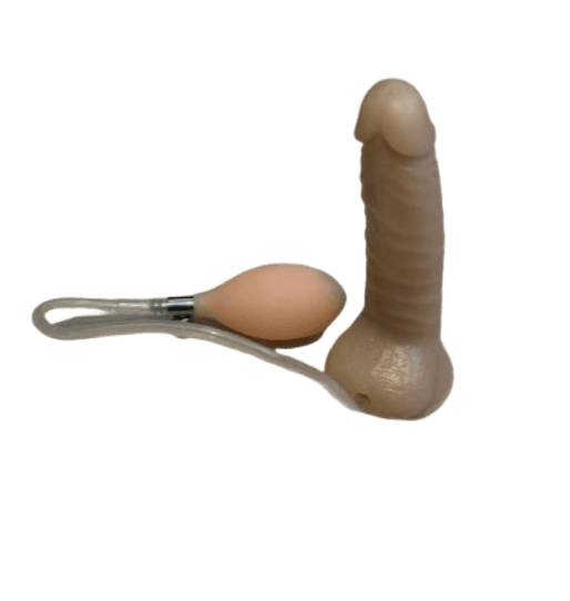 L4 Initial Height:19.5cm Initial Diameter:3.6cm 2