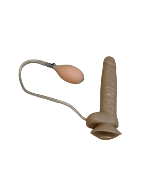 L4 Initial Height:19.5cm Initial Diameter:3.6cm